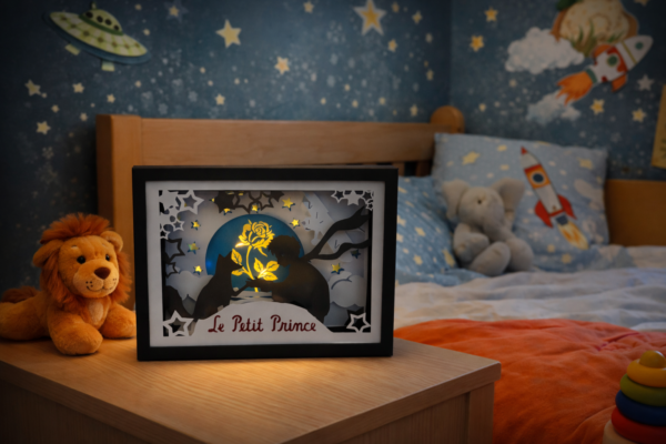 Light Box lumineuse – Boîte à ombres décorative