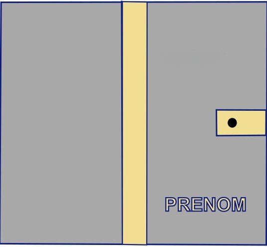 IMG_2437 Carnet de santé personnalisable