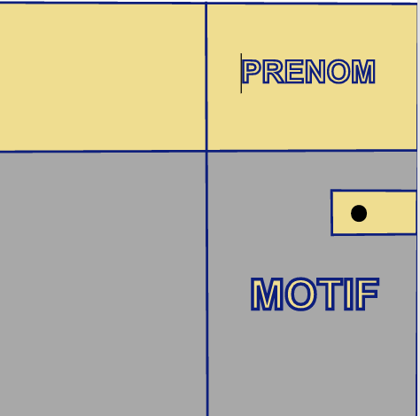 MODELE 1 MOTIF . PRENOM Carnet de santé personnalisable