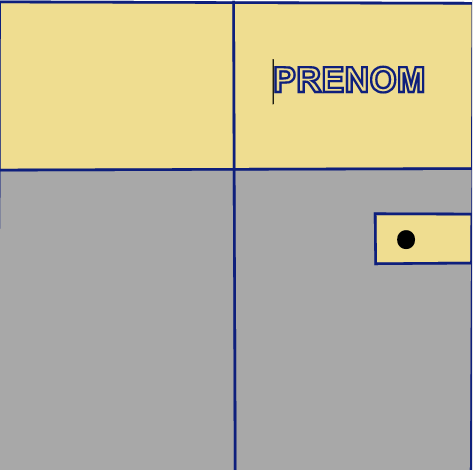 MODELE 1 PRENOM Carnet de santé personnalisable