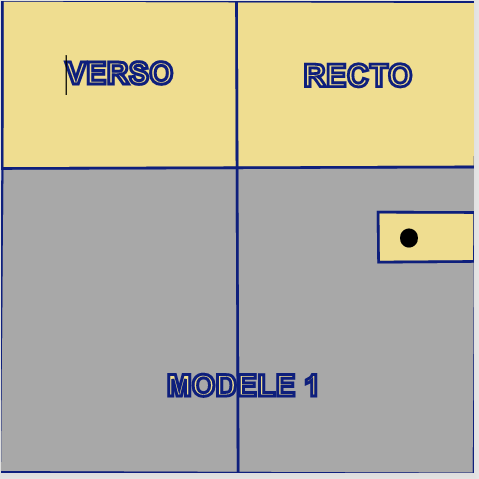 MODELE 1 Carnet de santé personnalisable