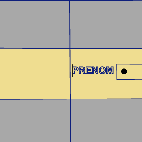 MODELE 2 PRENOM Carnet de santé personnalisable