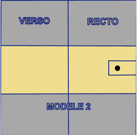 MODELE 2 Carnet de santé personnalisable