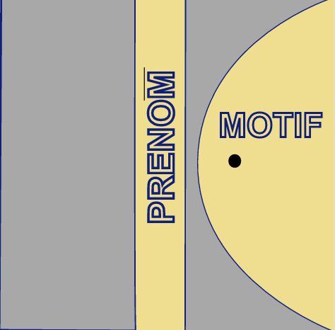 MODELE 3 MOTIF PRENOM Carnet de santé personnalisable