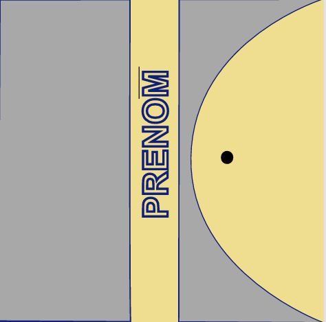 MODELE 3 PRENOM Carnet de santé personnalisable