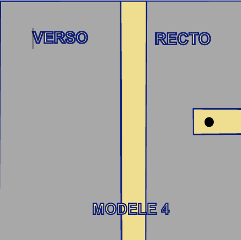 MODELE 4 (1) Carnet de santé personnalisable