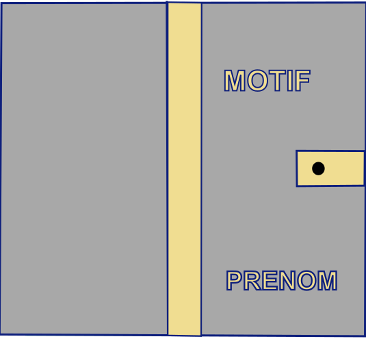MODELE 4 MOTIF PRENOM Carnet de santé personnalisable